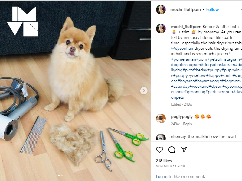 nana-influencer Mochi_fluffpom with Dyson